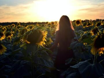 woman sitting on green grass field during sunset