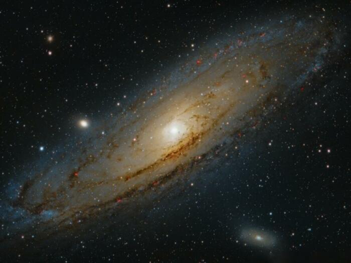 white and brown starry night